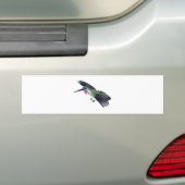 Autocollant De Voiture Colibri de Calliope (En voiture)