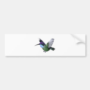 Autocollant De Voiture Colibri magnifique