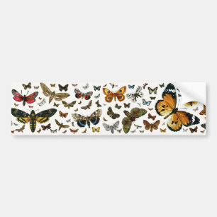 Autocollant De Voiture Collage des papillons de nuit et des papillons de
