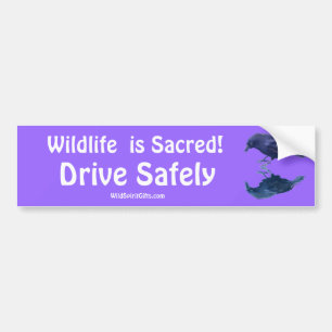 Autocollant De Voiture Collection CROW