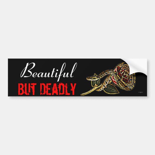 Autocollant De Voiture Collier de pare-brise de serpent python (Devant)