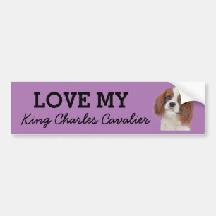 Autocollant De Voiture Colonne de pare-chocs King Charles Cavalier