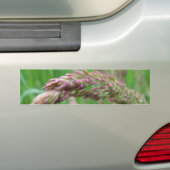 Autocollant De Voiture Comment l'herbe pousse Sticker pare-chocs (En voiture)