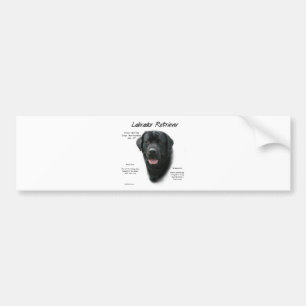 Autocollant De Voiture Conception de l'historique du Labrador Retriever (