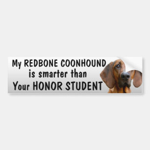 Autocollant De Voiture Coonhound de Redbone - plus futé que l'étudiant 