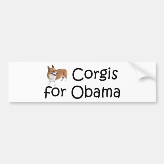 Autocollant De Voiture Corgis pour Obama (Devant)