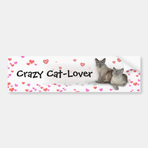 Autocollant De Voiture Crazy Cat-Lover
