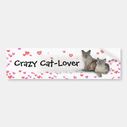 Autocollant De Voiture Crazy Cat-Lover (Devant)