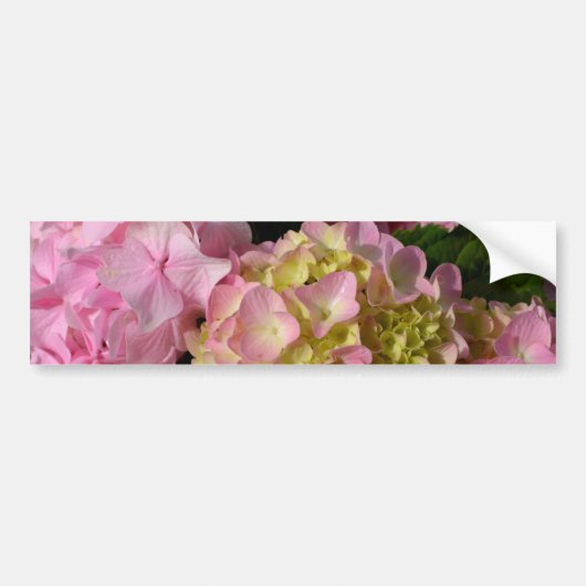 Autocollant De Voiture Crème rose Hydrangeas jaune rose vert floral (Devant)
