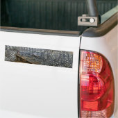 Autocollant De Voiture Crocodiles (Sur camion)