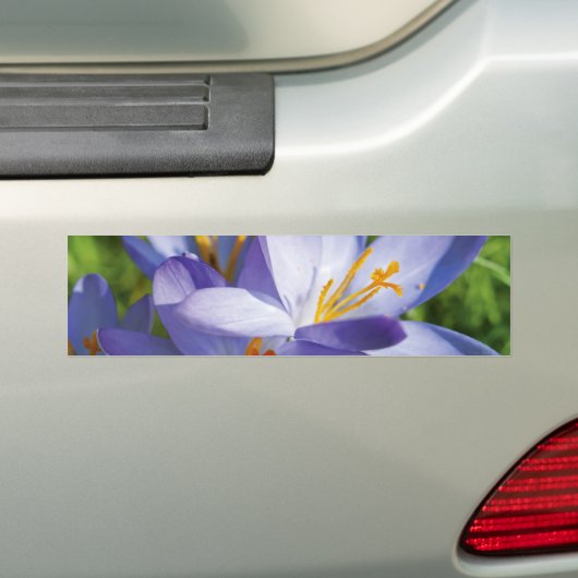 Autocollant De Voiture Crocus (En voiture)