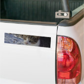 Autocollant De Voiture Curieux chat (Sur camion)