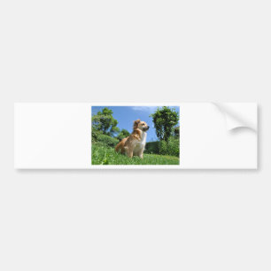 Autocollant De Voiture Cute dog in grass