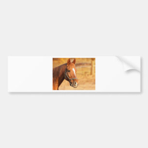 AUTOCOLLANT DE VOITURE CUTE HORSE