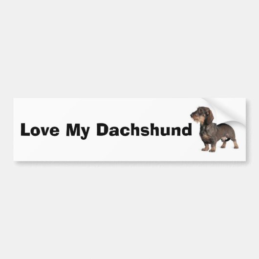 Autocollant De Voiture Dachshund (Devant)
