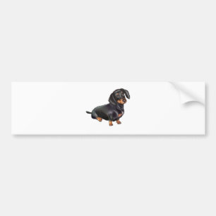 Autocollant De Voiture Dachshund (A) - Noir et feu