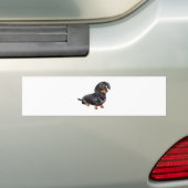 Autocollant De Voiture Dachshund (A) - Noir et Tan (En voiture)