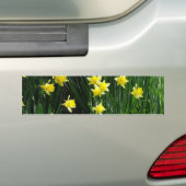 Autocollant De Voiture Daffodiques de printemps (En voiture)
