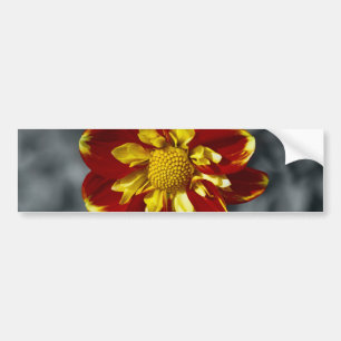 Autocollant De Voiture Dahlia