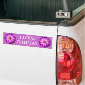 Autocollant De Voiture Dahlia violet/pourpre (Sur camion)