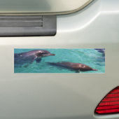 Autocollant De Voiture Dauphins (En voiture)