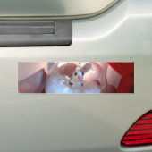 Autocollant De Voiture Décoration d'II (En voiture)
