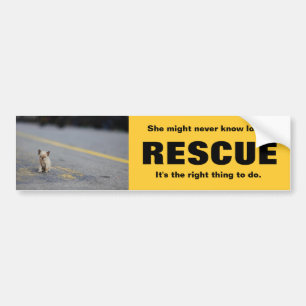 AUTOCOLLANT DE VOITURE DÉLIVRANCE ANIMALE BUMPERSTICKER