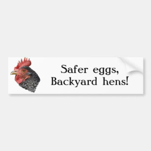 Autocollant De Voiture Des oeufs plus sûrs, poules de jardin ! - Adhési