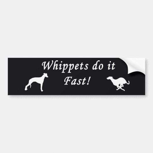 Autocollant De Voiture Des whippets il jeûnent (Devant)