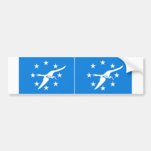Autocollant De Voiture DEUX Drapeaux du Corpus Christi