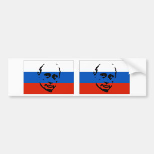 Autocollant De Voiture DEUX Vladimir Poutine/drapeau russe