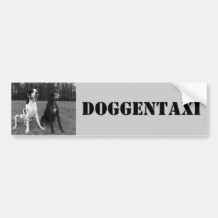 Autocollant De Voiture Dogge allemand, Great Dane, Harlekin, Taxi, autoco