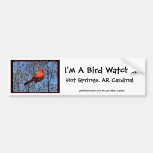 Autocollant De Voiture Dons cardinaux de la Promenade des sources chaudes
