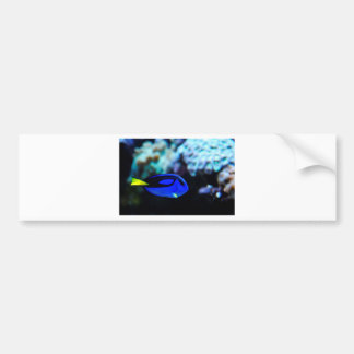 Autocollant De Voiture Doris, poisson bleu de Tang