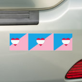 Autocollant De Voiture Drapeau de fierté de jeu d'âge (En voiture)