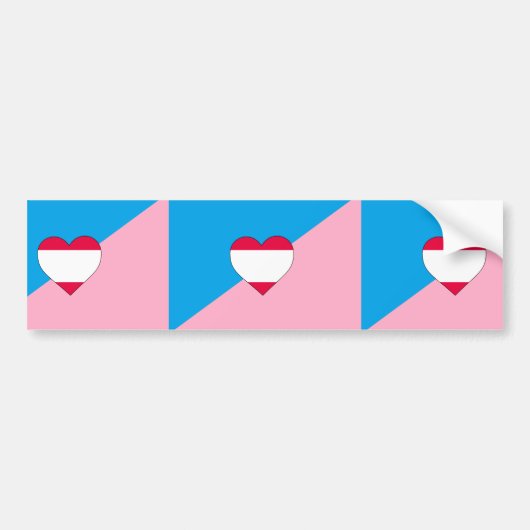 Autocollant De Voiture Drapeau de fierté de jeu d'âge (Devant)
