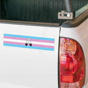 Autocollant De Voiture Drapeau de fierté trans bispirituel