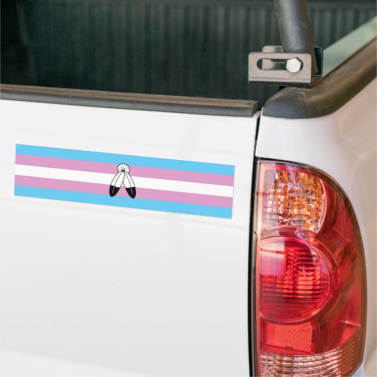 Autocollant De Voiture Drapeau de fierté trans bispirituel (Sur camion)