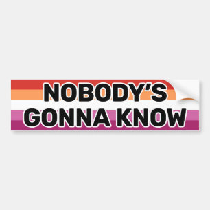 Autocollant De Voiture Drapeau lesbien noir Nobody's Gonna Know (5 bandes