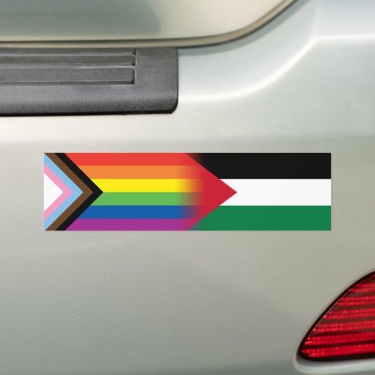 Autocollant De Voiture Drapeau LGBT Palestine Progrès Fierté (En voiture)