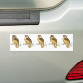 Autocollant De Voiture Duc (En voiture)