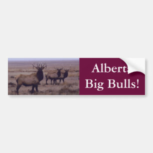Autocollant De Voiture E19 Aiguilles à deux gouttes d'Elc Bull