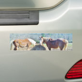 Autocollant De Voiture Ébauche secourue Chevaux mangeant foin (En voiture)