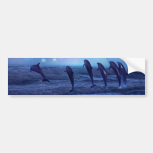 Autocollant De Voiture École des dauphins par clair de lune