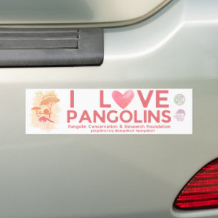 Autocollant De Voiture ÉCONOMISER PANGOLINS Edition spéciale Bumper Stick
