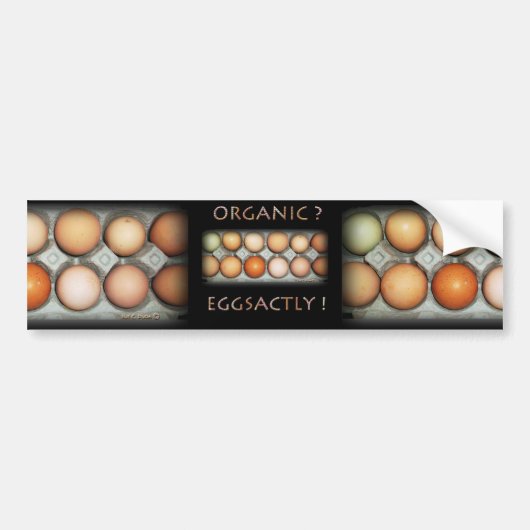 AUTOCOLLANT DE VOITURE EGGSACTLY (Devant)