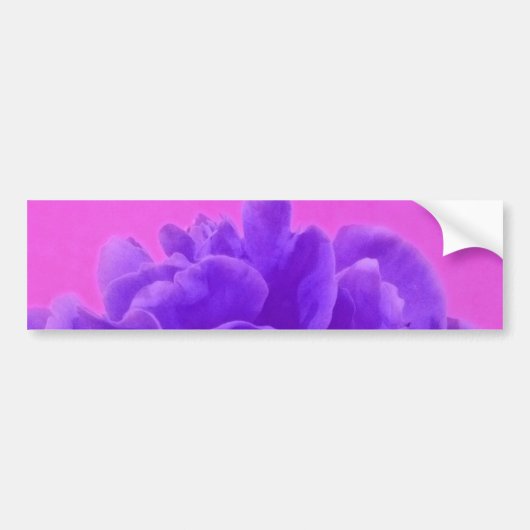 Autocollant De Voiture Elegant Purple Raspberry Floral (Devant)