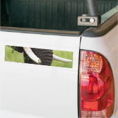 Autocollant De Voiture Eléphant (Sur camion)
