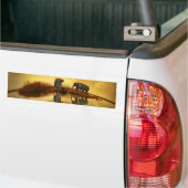 Autocollant De Voiture Éléphant (Sur camion)