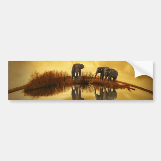 Autocollant De Voiture Éléphant (Devant)